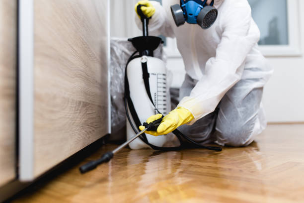 Best Exterminator Services  in Poydras, LA