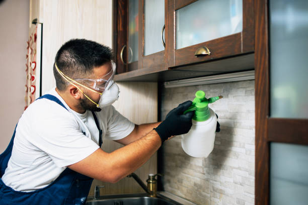Best Termite Control Services  in Poydras, LA
