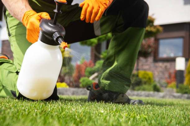 Best Affordable Pest Control Services  in Poydras, LA