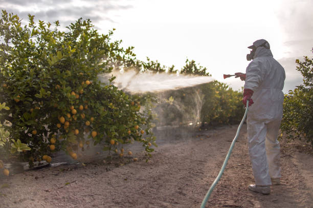 Best Exterminator Services  in Poydras, LA