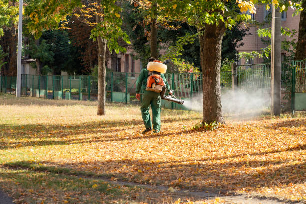 Wasp Removal Services in Poydras, LA