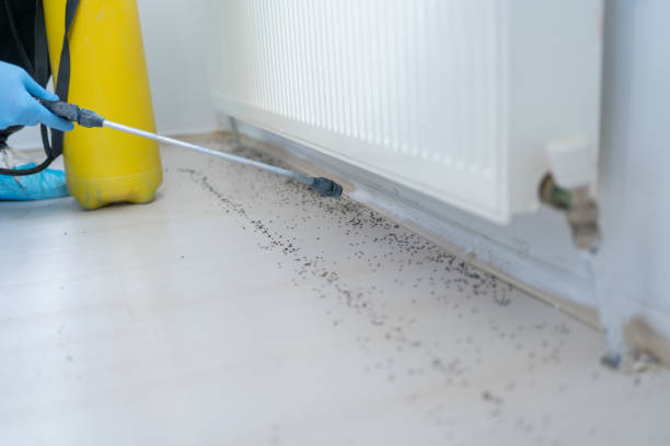 Best Mosquito Control Services  in Poydras, LA